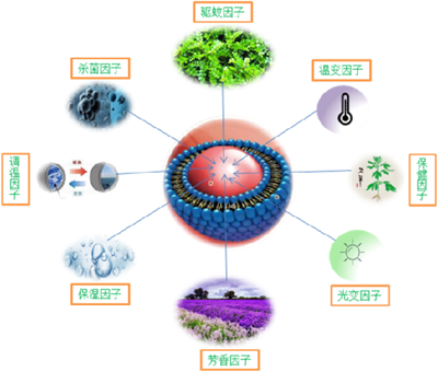 微信圖片_20220708130737_副本.png